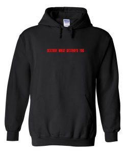 destroy what destroys you hoodie