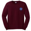 nasa burgundy sweatshirt