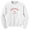 venice beach sweatshirt