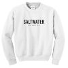 saltwater sweatshirt