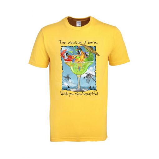 the weather is here tshirt