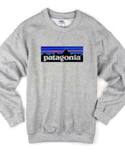 patagonia sweatshirt