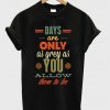 days are only as grey as you t-shirt